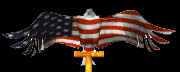 American Eagle Flag